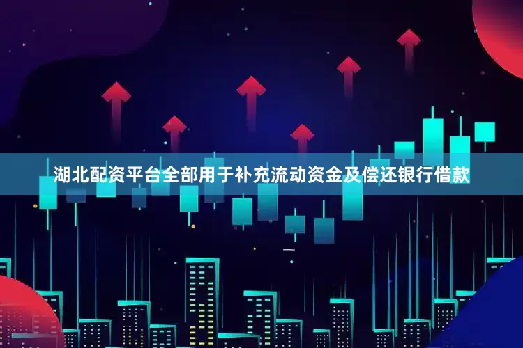 湖北配资平台全部用于补充流动资金及偿还银行借款