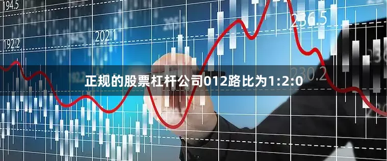 正规的股票杠杆公司012路比为1:2:0